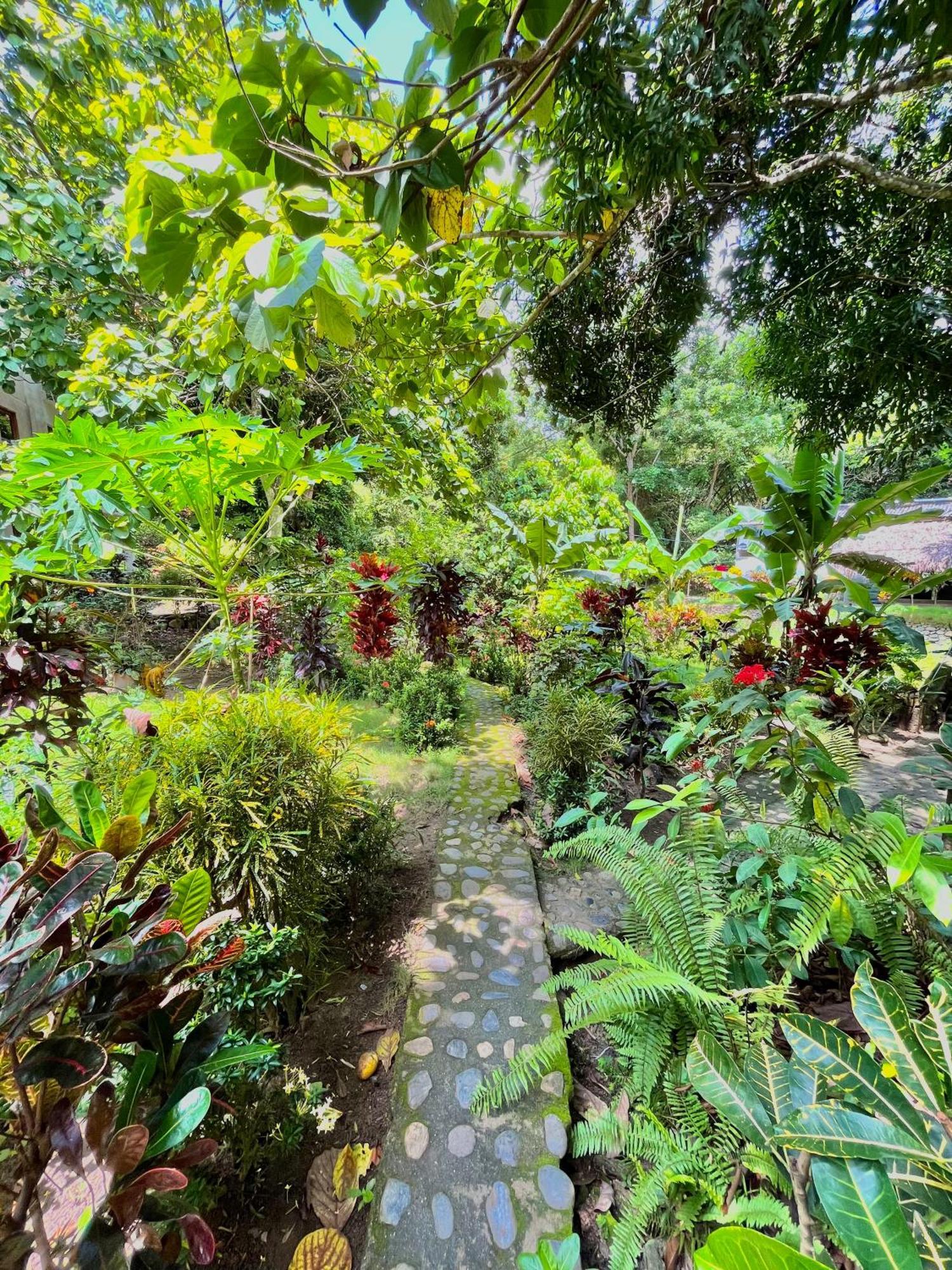 Santuario Tayrona Hostel Calabazo  Εξωτερικό φωτογραφία