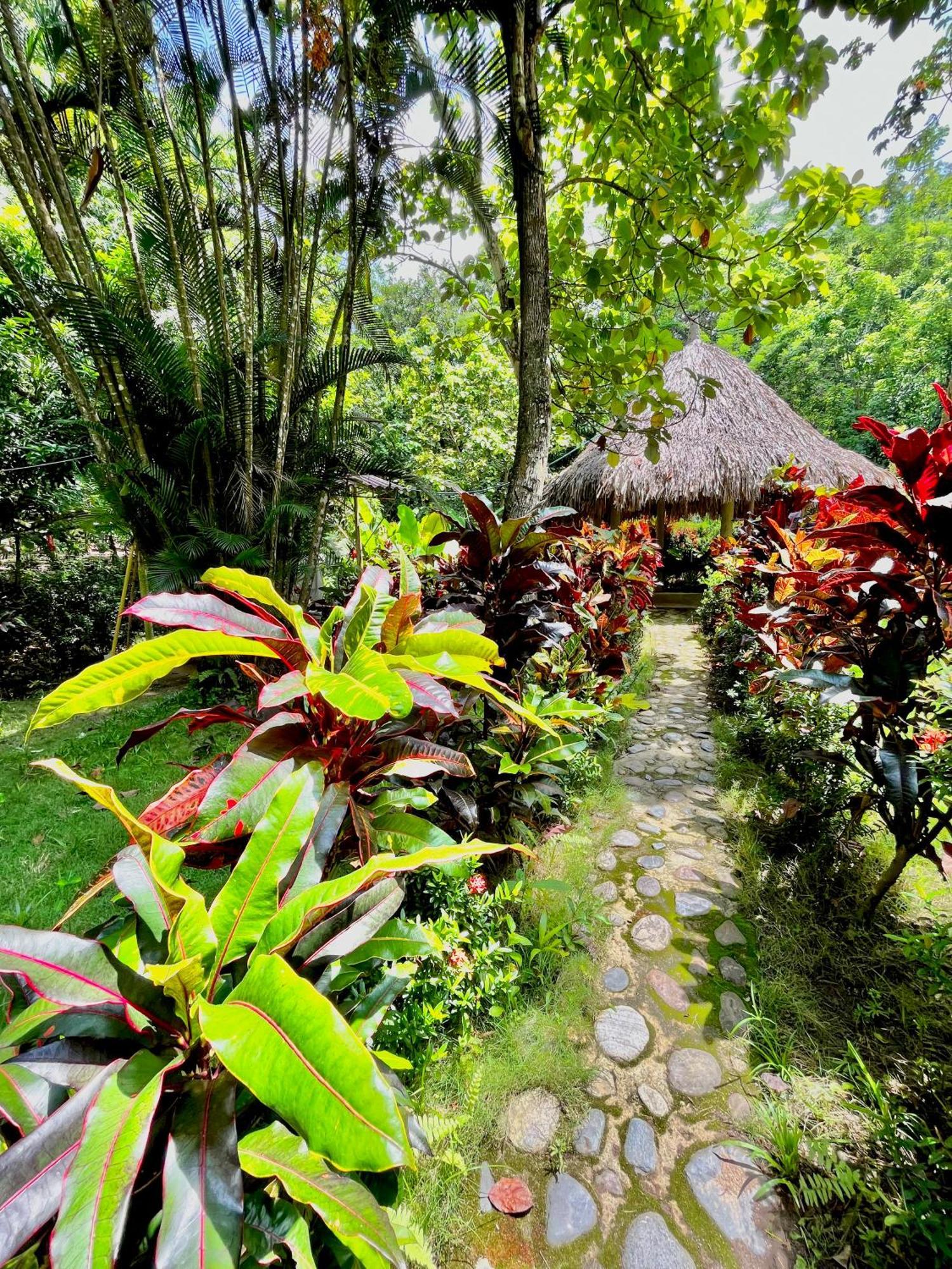 Santuario Tayrona Hostel Calabazo  Εξωτερικό φωτογραφία