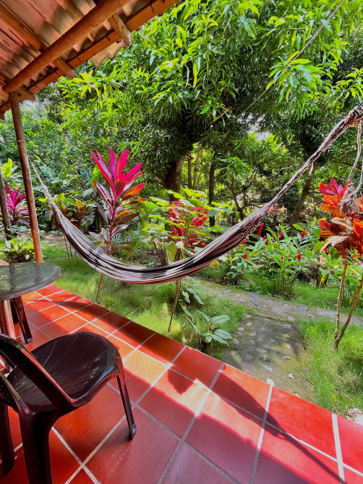 Santuario Tayrona Hostel Calabazo  Εξωτερικό φωτογραφία