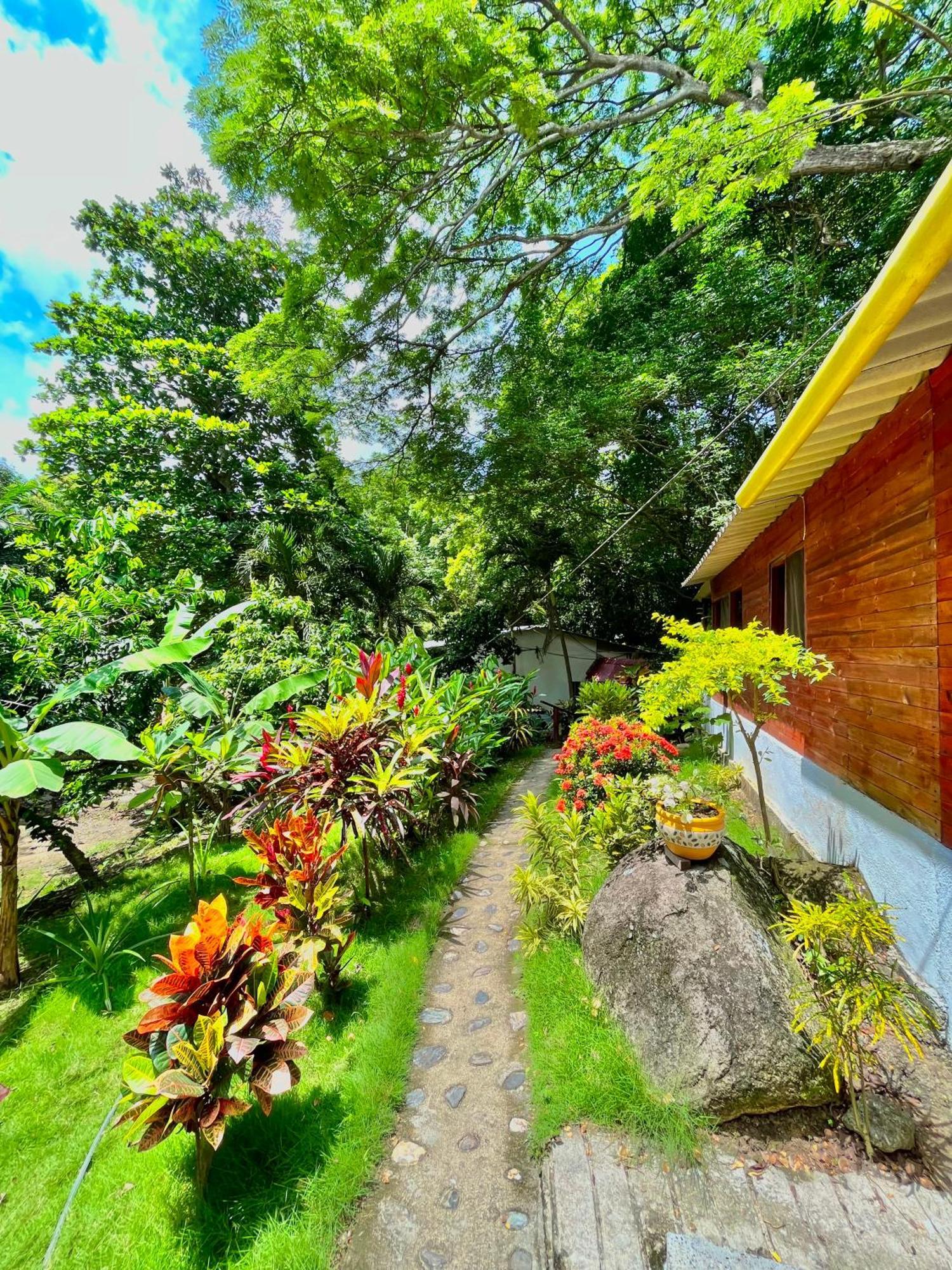 Santuario Tayrona Hostel Calabazo  Εξωτερικό φωτογραφία